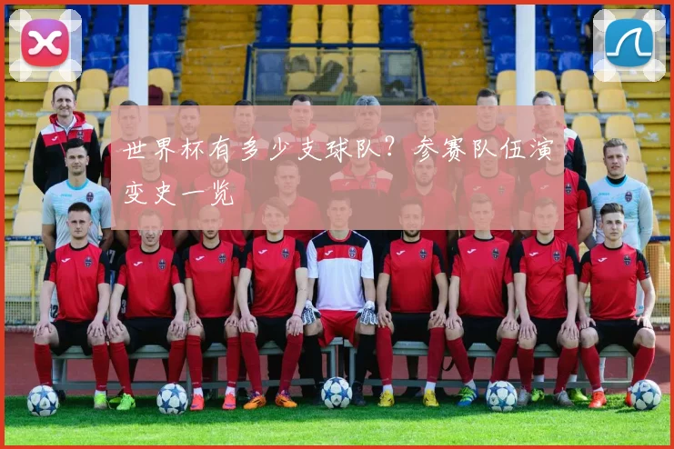 世界杯有多少支球队？参赛队伍演变史一览
