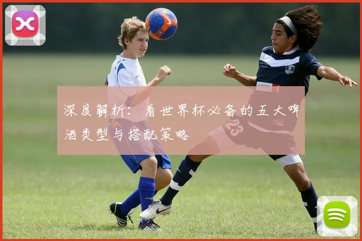深度解析：看世界杯必备的五大啤酒类型与搭配策略
